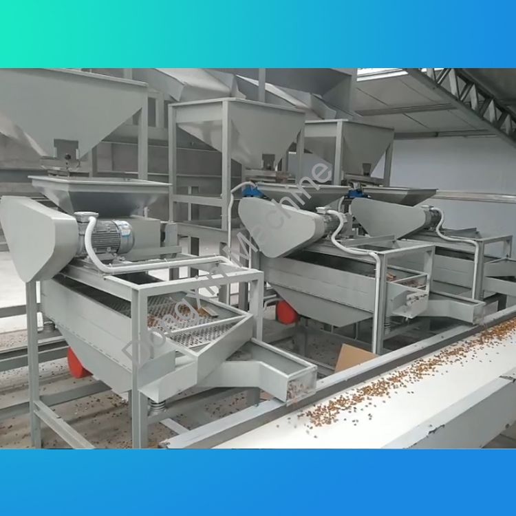 Apricot kernel, almond wood, hazelnut shelling production line