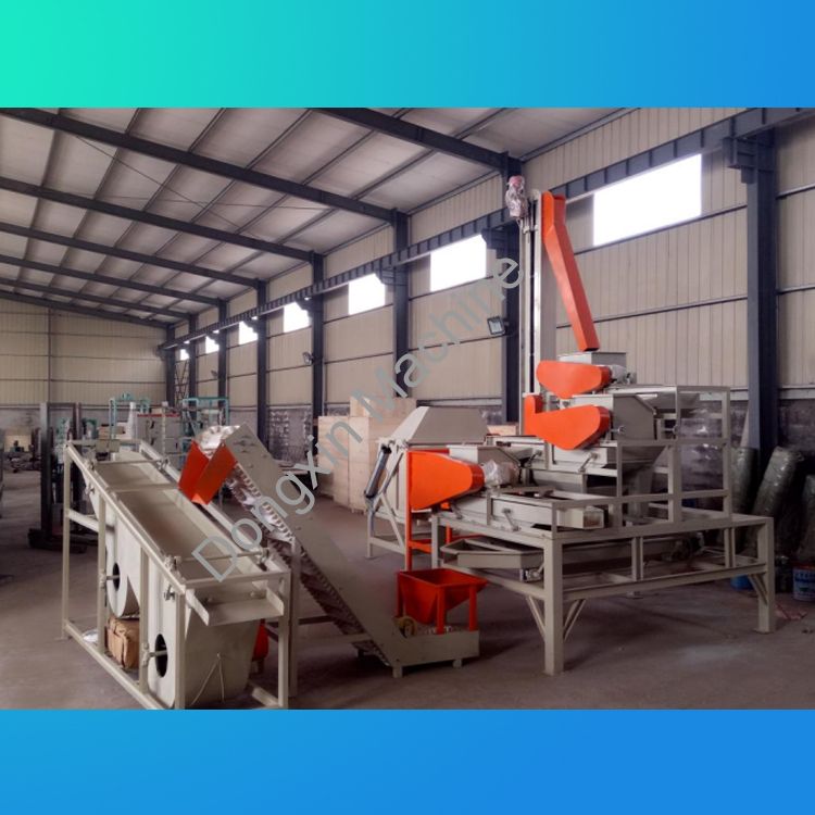 Apricot kernel, almond wood, hazelnut shelling production line