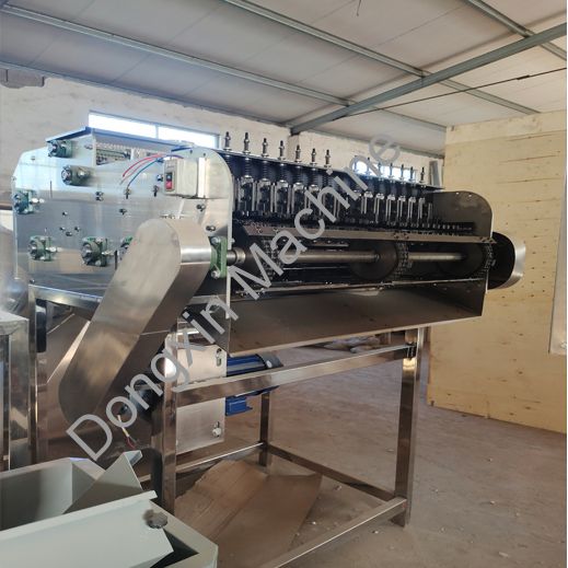 Cashew Shelling Production Line