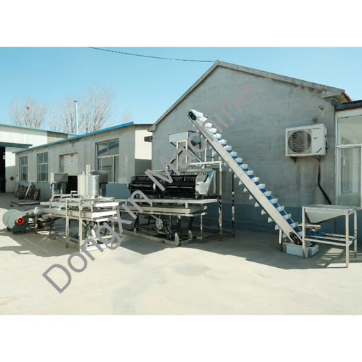 Cashew Shelling Production Line