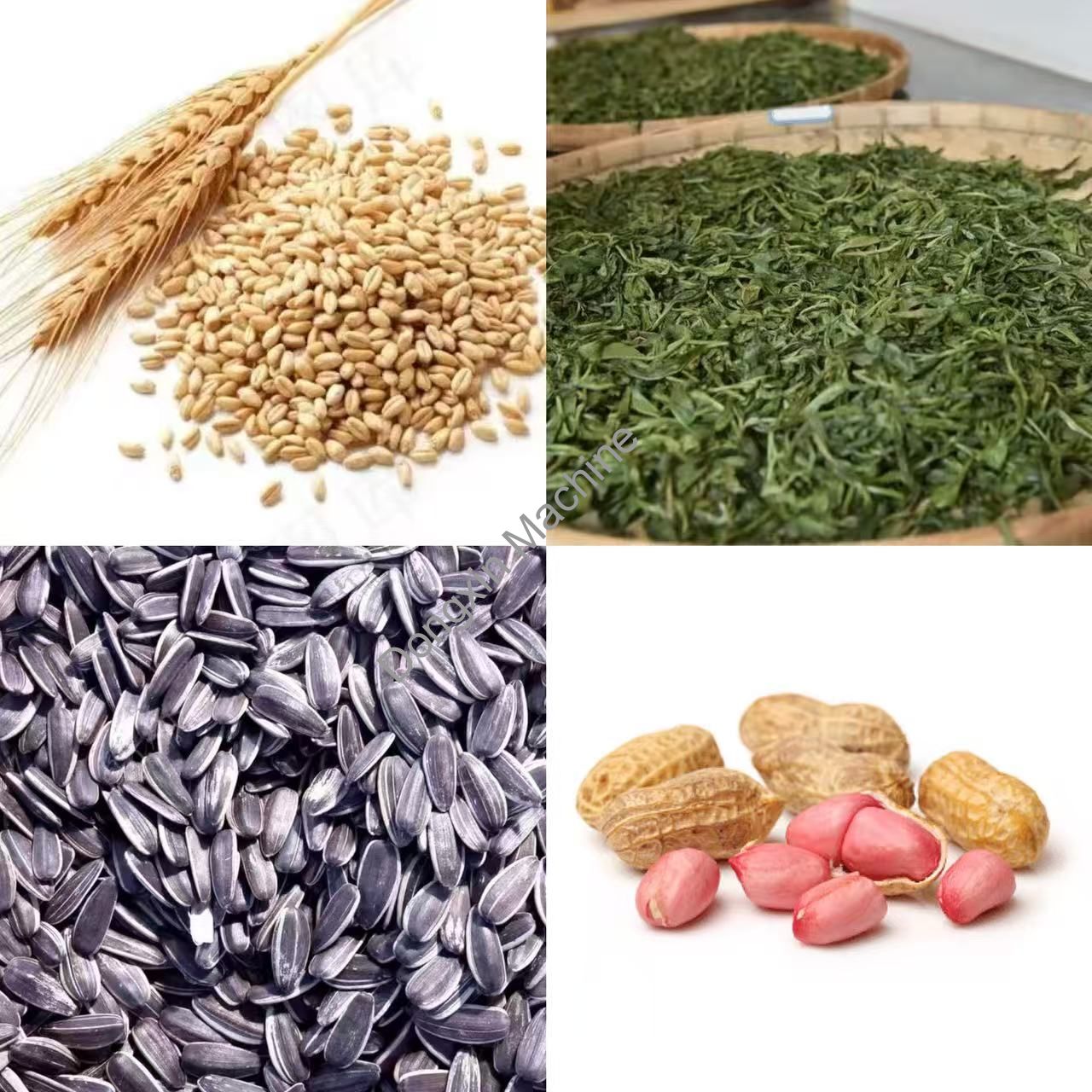 Electromagnetic baking machine