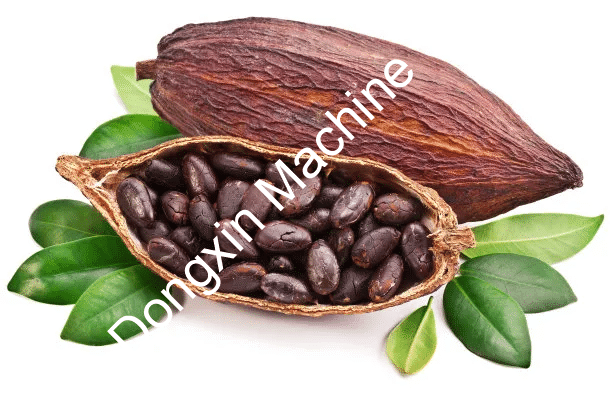 Cocoa bean fresh clip peeling machine production line