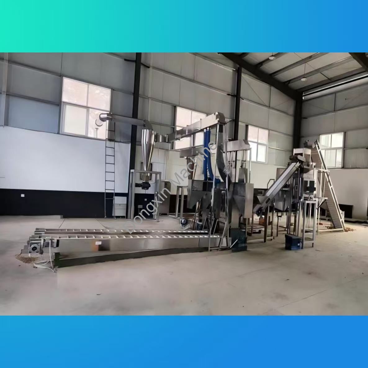 Walnut shelling production line equipment